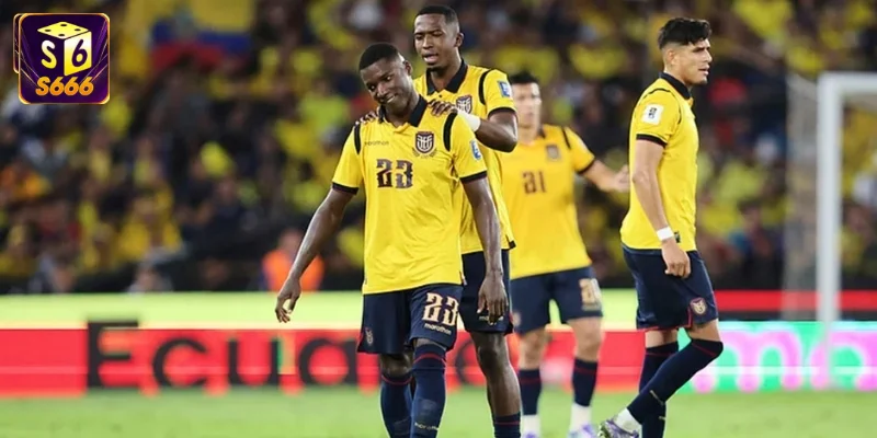 Đội hình Ecuador worldcup 2026 với lối chơi giàu sức trẻ