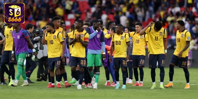 Đội hình Ecuador Worldcup 2026: "Cơn lốc" Nam Mỹ trỗi dậy